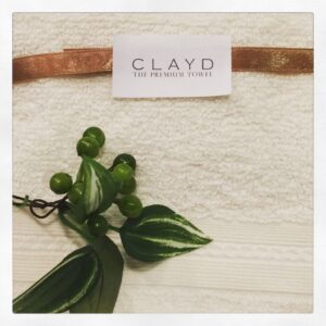 CLAYD2